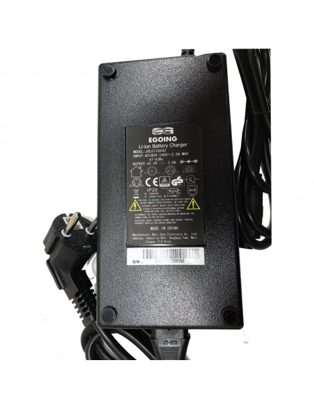 Batteriladdare EGOING snabb