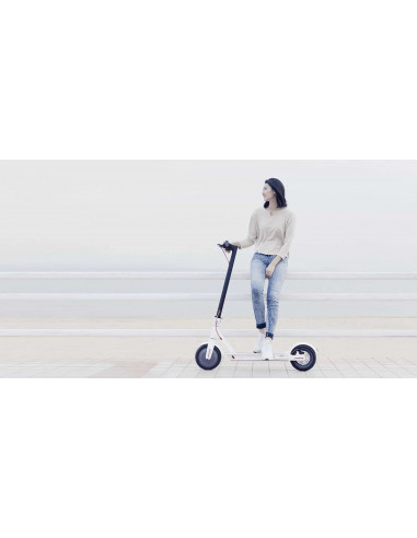 Xiaomi El-Scooter Mi M365, Svart